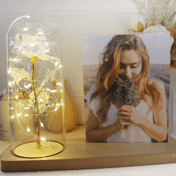 Romantic Galaxy Light Up Rose in Glass Dome with photo frame ornaments, beauty and the beast rose, eternal Rose Flower Gifts for Valentine's Day, Mother's Day, Birthday